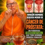 Cáncer de próstata y remedios naturales: lo que todo hombre debería conocer