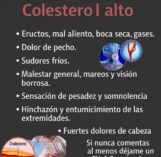 Infusión de Romero y Limón: Preparación Casera Sin Azúcar para Acompañar una Rutina Saludable