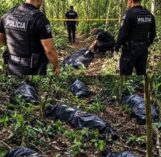 Imagen muestra un supuesto hallazgo policial en una zona boscosa, pero no permite confirmar qué contienen las bolsas