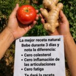 Tomate con jengibre: ¿pueden eliminar el colesterol, la inflamación y el cansancio en solo 3 días?