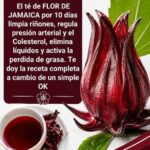 Flor de Jamaica: presión arterial, riñones y colesterol, ¿qué beneficios son reales?