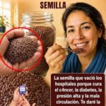Linaza y salud: ¿realmente puede combatir el cáncer, la diabetes, la presión alta y la mala circulación?