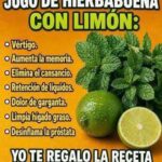 Hierbabuena con limón: una bebida refrescante, pero ¿qué puede hacer realmente por tu salud?