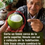 Limón con sal en la habitación: ¿realmente sirve para algo?