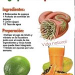 Papaya, limón y parásitos intestinales: ¿un jugo realmente puede “desparasitar” el organismo?