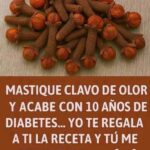 Clavo de olor para la diabetes: ¿masticarlo ayuda a bajar el azúcar en la sangre?
