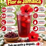 Agua de flor de Jamaica: qué puede aportar realmente y qué beneficios se exageran