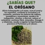 Próstata y diabetes: cuando el problema para orinar puede tener dos causas al mismo tiempo