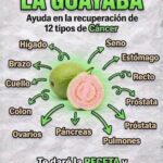 Guayaba y cáncer: una fruta nutritiva, pero no un tratamiento contra tumores