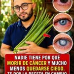 Sábila, cáncer y problemas de visión: lo que esta planta puede hacer y lo que se exagera en redes