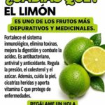 Agua de coco y limón durante el dengue: hidratación sí, “subir las plaquetas” no está garantizado