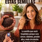 Semillas de chía: diabetes, presión y circulación, ¿qué beneficios tienen realmente?