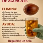 Té de pepa de aguacate: lo que se sabe realmente sobre esta bebida casera