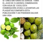 Dengue y plaquetas bajas: ¿agua de coco con limón realmente ayuda?