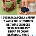 Estreñimiento y “limpieza de colon”: qué hacer cuando sientes que no evacúas bien