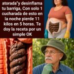 Estreñimiento y barriga inflamada: cómo mejorar el tránsito intestinal de forma natural y segura