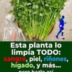 Próstata y mala circulación: cómo mejorar la salud masculina y reconocer los síntomas después de los 50 años