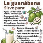 Guanábana para la próstata y la diabetes: beneficios naturales, propiedades y cómo consumirla de forma saludable