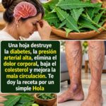 Próstata después de los 50: por qué puedes sentir urgencia para orinar y qué hábitos ayudan a cuidar tu vejiga