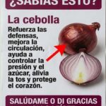 La cebolla morada y sus propiedades: qué puede aportar a la circulación, la presión arterial, el azúcar en sangre y la salud del corazón