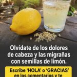 Próstata, diabetes y colesterol: cómo reconocer los riesgos ocultos y mejorar tu salud con una alimentación inteligente