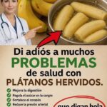 Plátanos hervidos: 8 beneficios para la salud, cómo prepararlos y qué sucede realmente con el azúcar en sangre