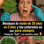 La planta que muchos relacionan con la salud de los ojos: qué dice la ciencia sobre las cataratas y cómo cuidar la visión después de los 50