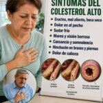 Colesterol alto: señales de alerta, causas y cómo proteger las arterias antes de que aparezcan complicaciones