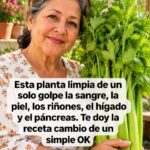 Próstata después de los 50: por qué puedes tardar demasiado en orinar y qué señales indican que necesitas una revisión