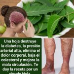Diabetes después de los 40: por qué puedes sentir cansancio después de comer y qué hábitos pueden ayudarte a mantener tu energía