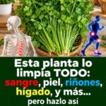 Próstata después de los 50: cómo una obstrucción urinaria puede afectar los riñones sin que lo notes