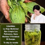 Próstata después de los 50: inflamación o crecimiento benigno, cómo reconocer las diferencias y cuándo consultar