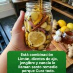 Limón, ajo, jengibre, canela y miel: cómo preparar esta combinación natural y qué beneficios puede aportar a tu salud
