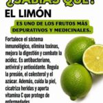 El limón y sus beneficios para la salud: qué puede aportar a tu organismo y cómo preparar una bebida natural