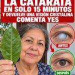¿Una hoja natural puede eliminar las cataratas? Lo que debes saber para proteger tu visión después de los 50 años